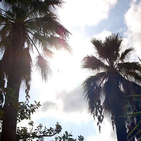Il Giardino Del Sole Villa Agnone Bagni Ngoại thất bức ảnh