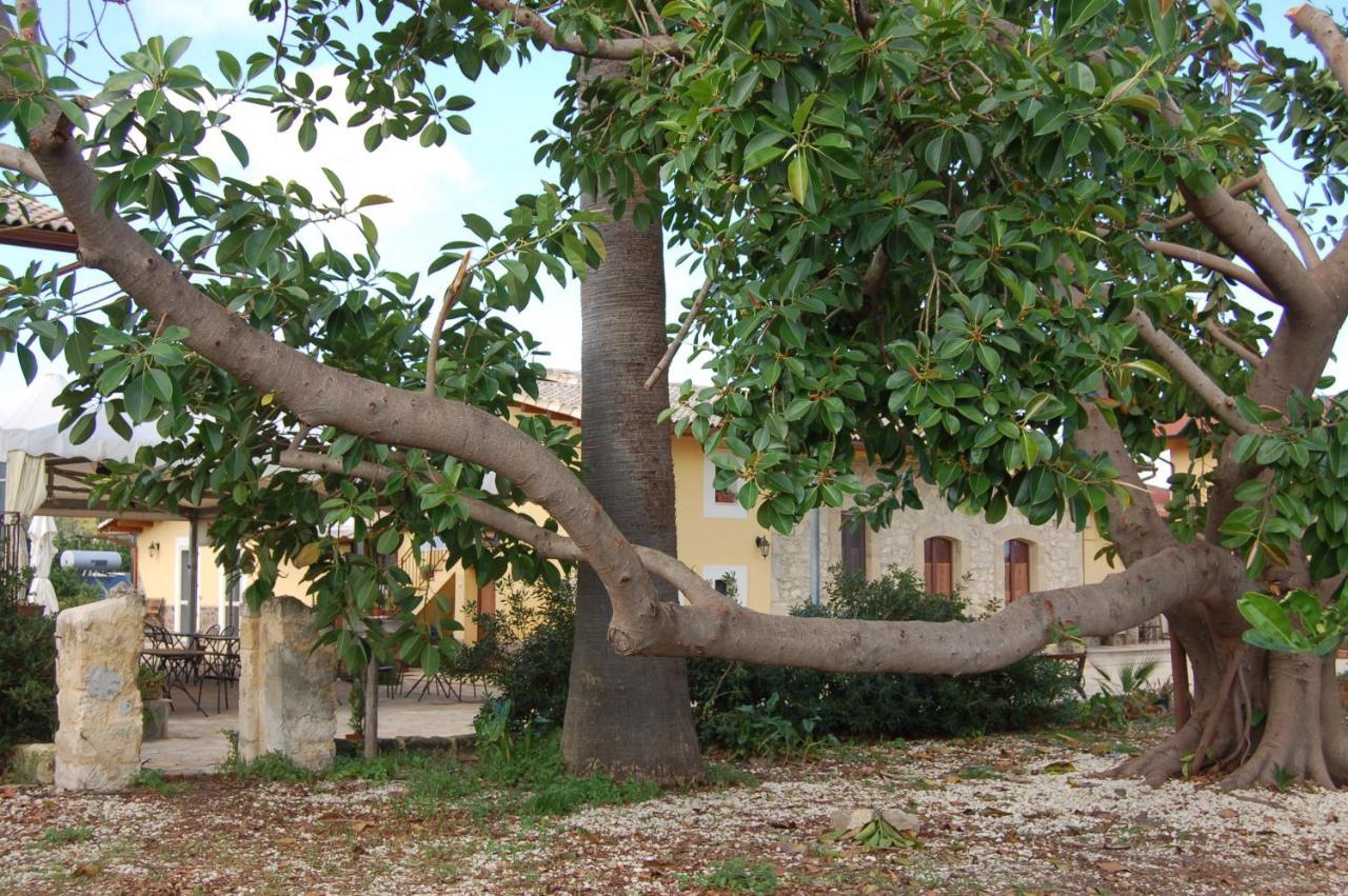 Il Giardino Del Sole Villa Agnone Bagni Ngoại thất bức ảnh