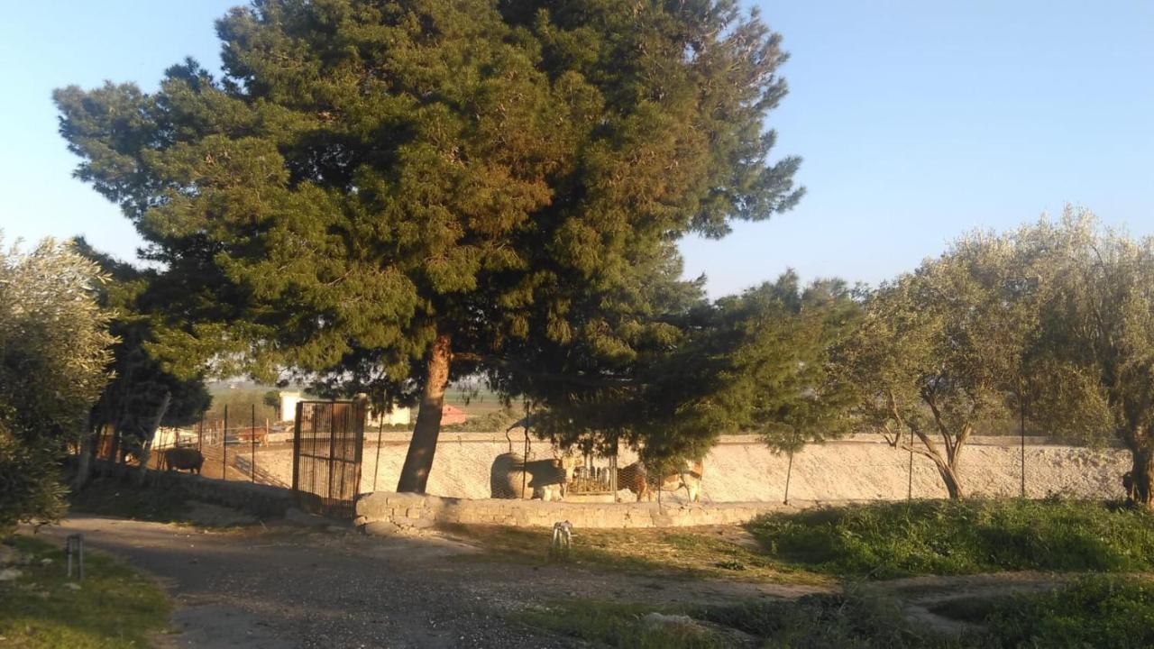 Il Giardino Del Sole Villa Agnone Bagni Ngoại thất bức ảnh