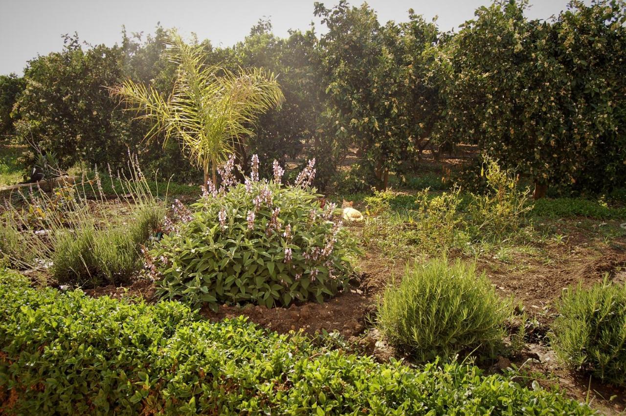 Il Giardino Del Sole Villa Agnone Bagni Ngoại thất bức ảnh